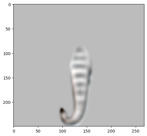 Elephant Laplacian 4