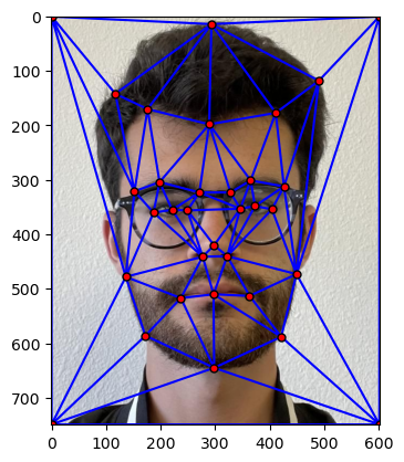 Mesh grid of keypoints on Joe's face