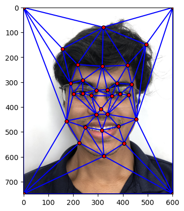 Mesh grid of keypoints on Samyak's face