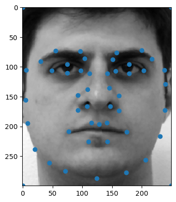 Example 1 from FEI face database