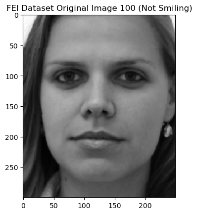 Image 100 - Not shaped