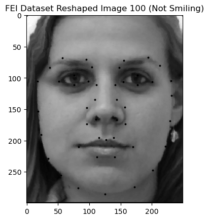 Image 100 - Not shaped, rotated