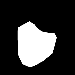 Example input silhouette mask